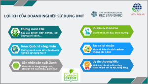 Lắp đặt điện mặt trời